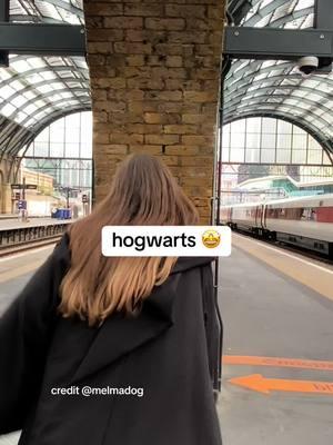 wanna go there asap  credit @melmadog #creatorsearchinsights #hogwarts #hogwartslegacy #hogwartsexpresstrain #harrypotter #dumbledore 