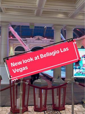 Sheesh new set up at the conservatory at the @Bellagio Las Vegas #fypシ #conservatory #lasvegas #bellagio #bellagiolasvegas 