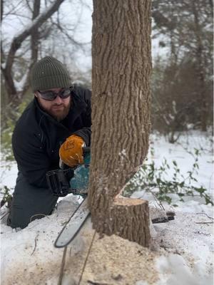 I think chainsaws are my favorite tool 😂 @Makita Tools USA #makitatools #makitachainsaw #40V #makita #fyp #fypシ #fypシ゚viral #snow #winter #work #working #snowing #tools #battery #batterypowered 