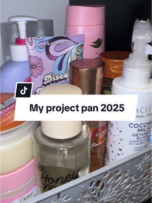 My project pan 2025!! 🧴 #projectpan #projectpan2025 #useitup 