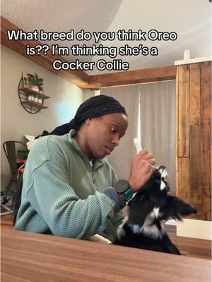 I want to know NOW! I hope she stays on the smaller size 🤞🏾#rescuedog #rescuedogsoftiktok #dogmom #imadogmom #mixedbreed #mixedbreeddog #puppy #oreo #puppytok #fyp #fypシ #foryou 