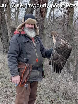 I’m sorry, I’m addicted to these. 😜 #perm #falconry @lowbed1 