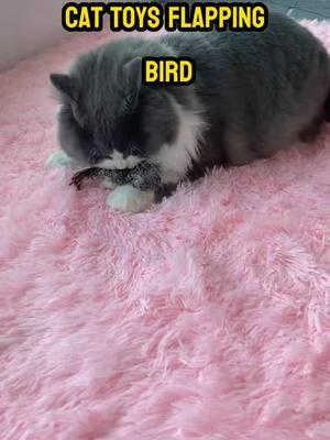 Let your cat’s hunting instincts go wild with this toy bird! 🎯🐱#ToyBird#PetToys#BirdToys#PetToyRecommendation#InteractiveToys