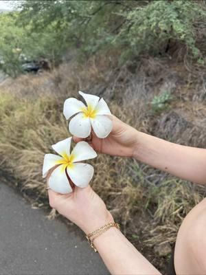 @renttherunway spotting leaving Hawaii ✈️ #renttherunway #fashiontiktok #traveltiktok #travel #traveling #airplanetiktok #airplanemode 