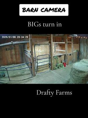 turn in with barn camera views #mainelife #blessed #barnlife #ourheaven #draftyfarms #BIGs #belgiandrafthorse #