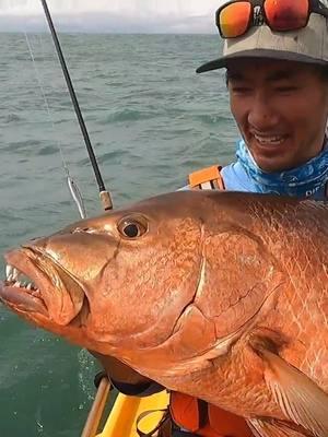 Big Cubera Snapper on my kayak!  #fyp #foryou #foryoupage #fish #fishing #kayak #kayakfishing #cuberasnapper