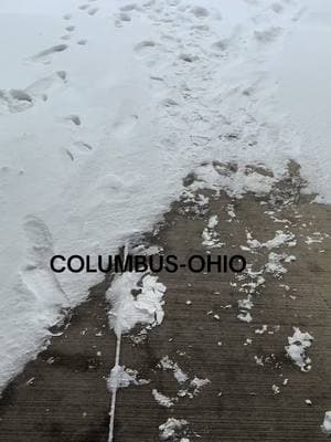 #columbusohio #nieve #naturalezaporelmundo #viralvideo 