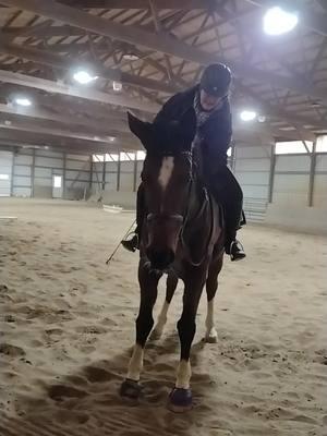 Schooling dressage ride on my 17-1 Holsteiner on a very chilly day #holsteiner #barnlife #warmbloodhorse #horsegirl #equestrianlife #bayhorsesoftiktok #dressagerider #geldingsoftiktok #dressagehorse #dressagelife #horsesoftiktok 