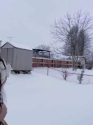 Snow day #salina_cutiee #shivanshikomumma #snowing🌨🌨🌨 #makingmemories #dilina #sareechallenge #snowsareechallange 