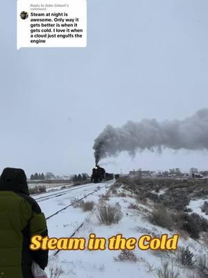 Replying to @Zeke Sidwell Steam in the cold hits different 😩 #trains #steamlocomotive #midwestcentralrailroad #nevadanorthernrailway #nnry #steamengine #steampower #railfan #femalefoamer #traintok #winter 