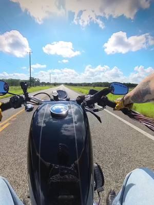 Reminiscing on warmer days and rips through the Hill Country! ✨🏍️✨ . #sportster1200 #roadster #harleydavidson #girlswhoride #texas #hillcountry #sportymob 