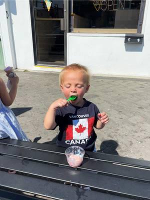 The voice in your heard when you eat ice cream. #baby #icecream #iceicebaby #dontbullymybreed #mason #BestFriends #mamalovesyou #Outdoors #seaisle #seaislecity #newjersey #icecube #mace #fancy #eatit #livingmybestlife 