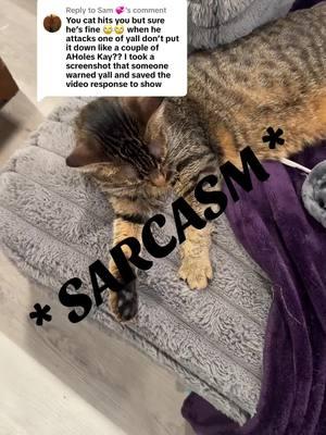 Replying to @Sam 💞 I’m so scared! 😂 you have screenshots and recordings…I’m shaking in my boots right now 😭 #fyp #dumbcomments #dumbpeople #idgaf #reportme #cats #dogs #savethemall #sarcasm 