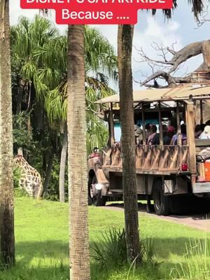 Has this EVER HAPPENED TO YOU AT DISNEY? We got stuck on Disneys Safari ride at Animal Kingdom #disney #animalkingdom #disneysanimalkingdom #distok #fyp #goviral #trending #safariride #safari #disneysafari 