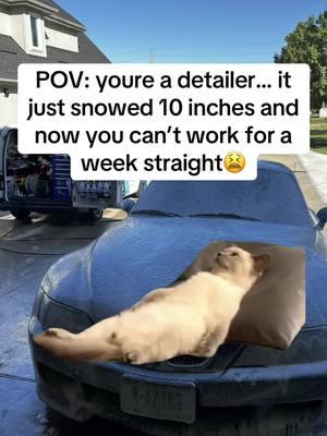 Snow and detailers don’t mix🤣 . . #Detailing #CarDetailing #DetailingAddicts #DetailingWorld #CeramicCoating #PaintCorrection #DetailingProducts #AutoDetailing #DetailingCommunity #DetailingServices #MobileDetailing #DetailingSupplies #DetailingExperts #DetailingCars #CarDetail #DetailingShop #DetailingAddicts #DetailingBusiness #PaintProtectionFilm #carsofinstagram #mobiledetailing #success #autodetailing #detailingbusiness #viral #reels #fyp #entrepreneurship #business #trending 