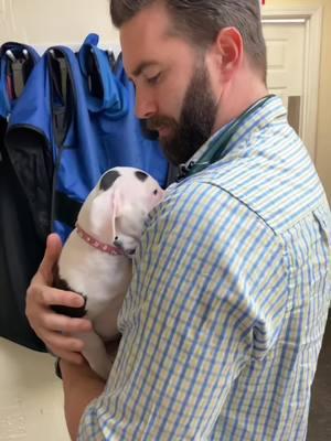 Being there for my patients as they wake up from anesthesia—comforting them, ensuring they feel safe, and letting them know they’re never alone in their journey to healing. #drtom #veterinarian #fyp #veterinariansoftiktok #VetLife #vetmed #puppy #puppiesoftiktok #dogsoftiktok #dog #kindnessmatters #patienceformypatients #VeterinaryCare 