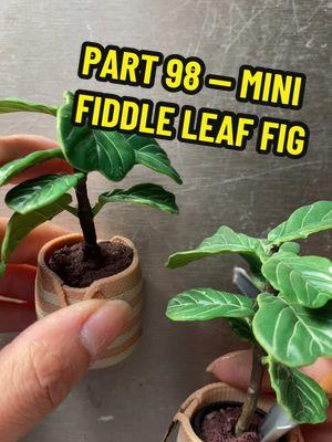 Replying to @nina_navideña :3 NOW I HAVE 2 FIDDLE LEAF FIGS!! 😍🌴🌴 #miniverse #makeitmini #makeitminilifestyle #mini #miniplants #fiddleleaffig #asmr 