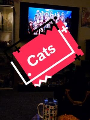 welcome to my musical obsession #musicals #cats #catsmusical 