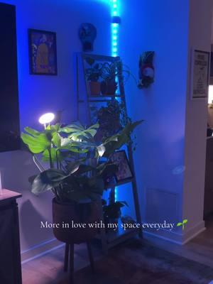 Making a house a home #housetour #monsteradeliciosa #pothos #propogation 