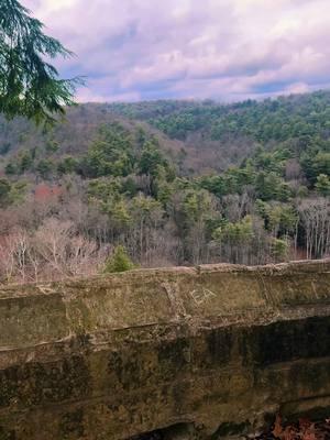 Who wants to be friends?  #Hiking #nature #fyp #Outdoors #overlook