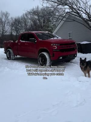 Real. #quotes #funny #repost #fyp #real #foryou #fypツ #fypシ゚viral #foryoupage #truckquotes😮‍💨🛻 #chevy #winter #trucktok #trucksoftiktok #staind 