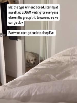 I want to be the chill friend but I have the zoomies #chillfriend #typea #grouptrip #airbnb #vrbo #mammoth #skitrip #sleepingin #goldenretriever #goldenretrieverboyfriend #zoomies 