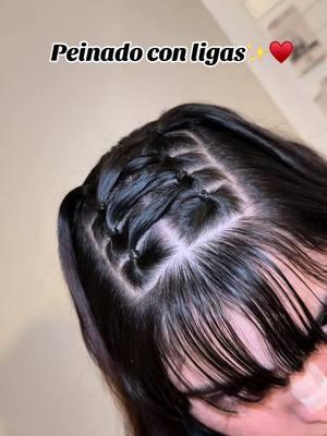 Ligas✨#peinados #con #ligas #hair #beautytips #fypシ #viralvideo #✨ 