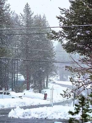 Não vejo a hora de viver isso de novo 🌨️🥹❄️☃️ #southlaketahoe #neve 