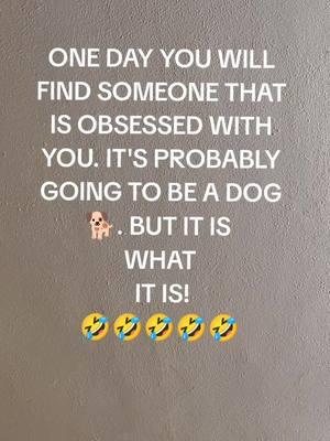 #🤣🤣🤣 #dogsoftiktok #foryoupageofficiall #gaytiktok #fyppppppppppppppppppppppp #forrrrrrrryouuuuuuuuuuuppageeeeeeee #peopleyouknow #womenownedbusiness #BlackTikTok #funnyvideo #🤣🤣🤣 