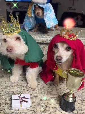 LOSTRES PERRITOS MAGOS  🐩🐕🐕‍🦺🐾👑  #🥰 #Historia #PerritosMagos  #Melchor #Gaspar #Baltasar #ReyesMagos #Sketch #FelizDiaDeReyes #Mascotas #DogsOfTiktok #fyp #LasMascotasDeLiz #PeluditosValadares #lizvall10