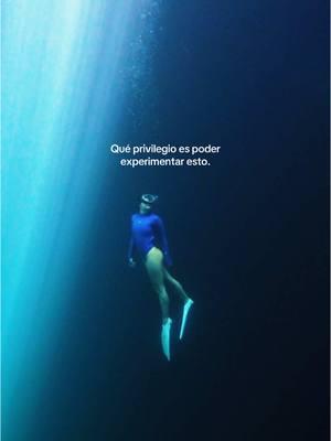 Hacer apnea en los cenotes te cambia la vida. 💘  #apnea #freediving #mexico #travel #placestogo #travel #underwater #underwaterworld #freediver #talasofobia #mexico #merida 