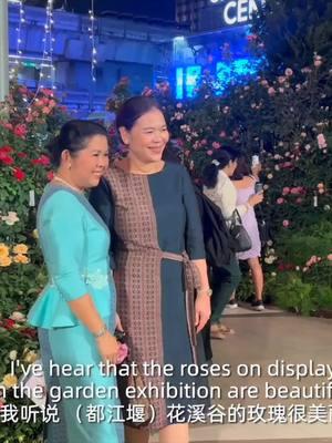 Fresh flowers from Dujiangyan City bloomed on the streets of Bangkok. The "China-Thailand Silk Road Rose Exhibition" was successfully held in Bangkok, Thailand. #thailand #pandaeyes #sctvpandawandering 