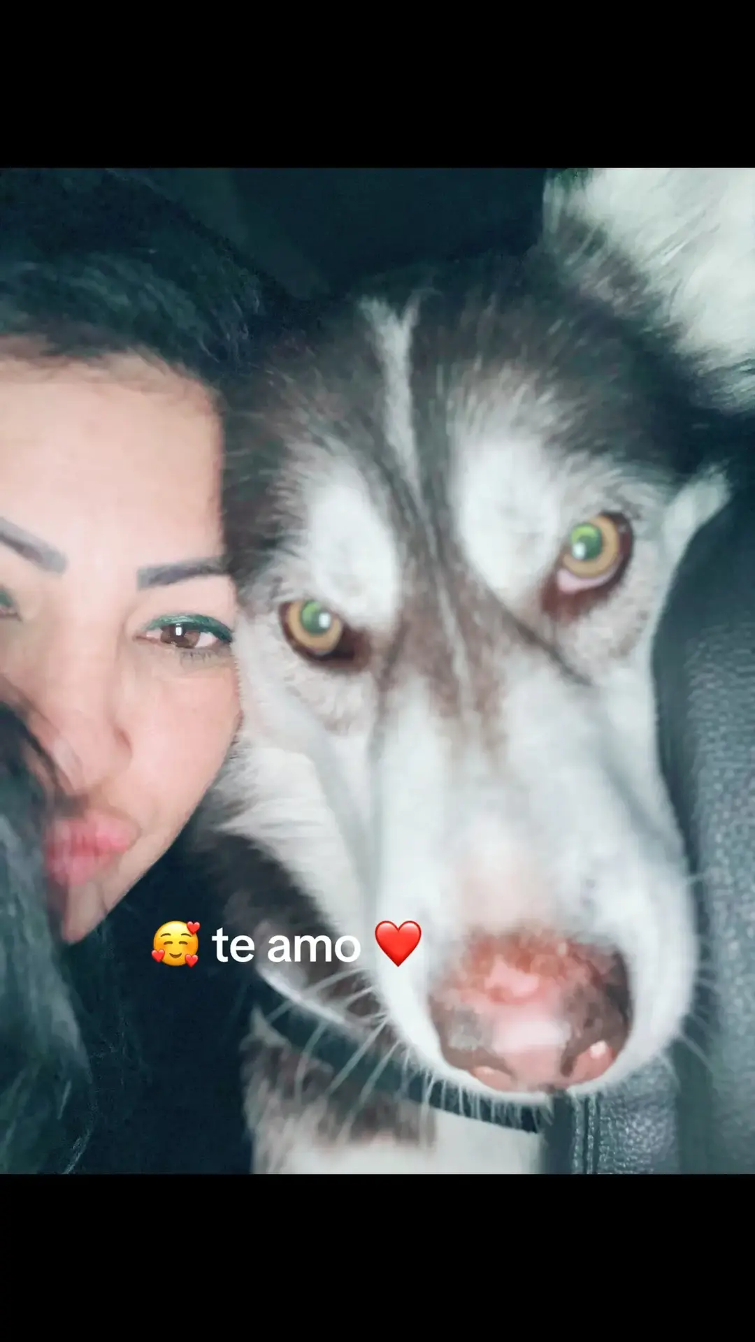 #amor❤️ #amorproprio #amoreterno #husky #huskysoftiktok #huskysoftiktok #amorperruno #perritosfelices #paratiiiiiiiiiiiiiiiiiii #viralvideos #2025 #bendiciones #viralllllll 