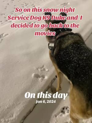 #onthisday #servicedogduke #fyp #fypシ #foryoupage #fypage 