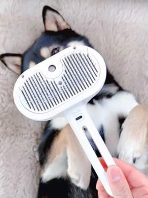 Great❗️❗️Pet Spray Hair Removal Comb#TikTokShop #fyp #tiktokmademebuyit #pet #spraycomb #petcleaning#dog #cat 