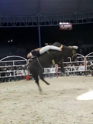 #jaripeobaile #paratiiiiii #jaripeoextremo #losjaripeos #viralvideo #jaripellero 