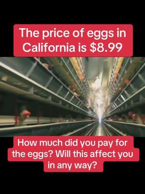 The price of eggs in California is $8.99 #eggs #egg #birdflu #highprices #breakingnews #fyp #mrs_aguilar0 