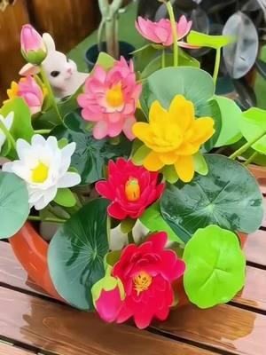 🌸✨ Transform your garden into an exotic oasis with these 10 mixed color Bonsai Bowl Lotus Seeds! Perfect for ornamental ponds or your home garden, these beautiful water lilies will bloom and brighten any space. 🌿💧 A perfect gift for plant lovers or anyone who enjoys a bit of nature’s magic! 🌷💚 Shop now and plant your garden dreams! #LotusSeeds #GardenMagic #PlantLovers #ExoticPlants #WaterLilies #HomeGarden #FlowerPower #PondPlants #NatureLover #GardeningGoals 