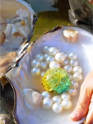 😱😱The girl discovered a giant clam with too many pearls inside, which is too charming #pearl #pearlhunter #seafood #jewelry #pickingpearls #huntingpearl #fyp #foryou #tiktok 