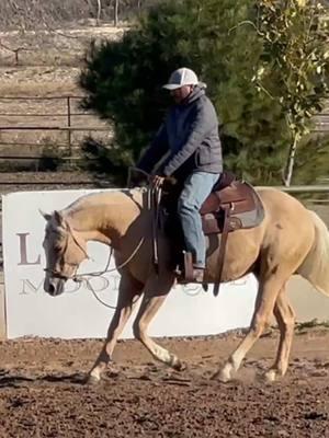 💪🏼💪🏼👏🏼👏🏼ARA ESPARTANO,  hijo de TEN THIRTY en la yegua ARA  GOTHICA, hija de Shine Chic Shine.. Este es su primer hijo.  Vendido a Javier Peña, gracias por seguir confiando en  Caballos La Paloma. ••••••••••••••🕊️••••••••••••••••• CABALLOS LA PALOMA ••••••••••••••••••••••••• #caballoslapaloma #caballos #caballo #charreria #charro #casadecampeones #horse #horses #aqha #aqhaproud #horsepower #luckiemoonstone #horselife #horselove #horselover #horsebackriding #horseriding #horseback #charro #charreria #tenthirty #aracebtinela #arabrujo #luckiemoonstine #instagram #horsesofinstagram #horsestagram