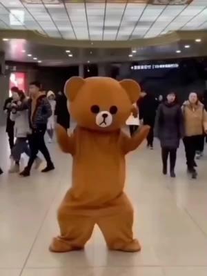 Funny bear video P66 #bear #gau #troll #viral #humor #fun #prank #omg #amazing #trollbear #funnybear #gaulaythanhgaulieu