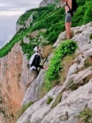 Life is to be experienced #wingsuit #wingsuiting #wingsuitflying #parachute #mountain #redbull #adventure #adventures #sport #sports #sportsontiktok #dangers #travel #foryou #fyp #viral #trending #kings3a 