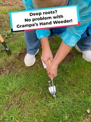 🌱 Meet Grampa’s Hand Weeder—the perfect tool for deep digging and effortless weed removal. Its sharp V-nose and leverage metal base are designed to make every pull count, so you can enjoy a weed-free garden in no time! 🛠️✨ #grampasweeder #grandpasweeder #gardening #weedpuller