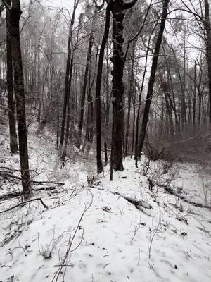 #blueridgemountains #fernhollowcollective #itsjustmecorbing #corbinprydwen #trees #snow #timber #peaceful #enjoy #timeout #nature #creek #water #heal 