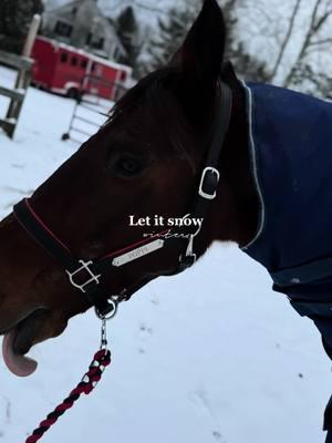 #CapCut #fancy #imfancy #fy #equestrian #wildhorse #wild #wildlife #snow #bay #snowday #barnsnowday #horseinthesnow #blue #snowhorse #bays #ottsb #race #horsesoftiktok #fyp #fyppppppppppppppppppppppp #followthe #horse #thankyou #🐴  #❄️ 