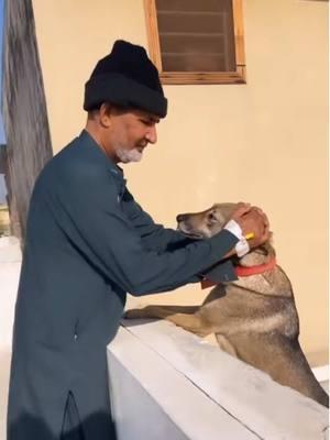 Hoping my dad can meet her this time when he’s there! #rescuedogs #dog #animal #pets #babiesoftiktok #grandparents #grandpa #nanabu #grandfather #grandad #nanabu #abu #nana #grandfathers #granddaughters #family #bond #Love #fyp #foryou #trending 