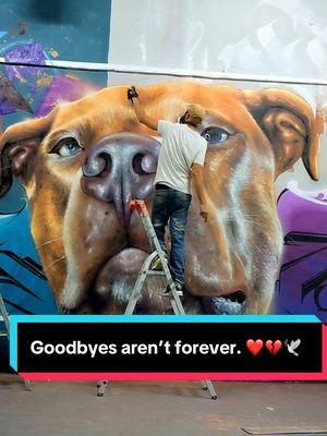 At first, there is shock and disbelief; then comes the guilt and sorrow, leaving behind a profound emptiness. A part of me has also died with you.   Goodbyes aren’t forever. ❤️💔🕊️   #dogloss #grief #imissyou #dogs 