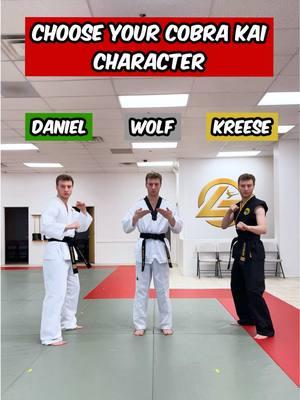 Choose Your Cobra Kai Character | Sensei Wolf #taekwondo #tkd #karate #martialarts #cobrakai #cobrakaiseries #senseiwolf #360kick 