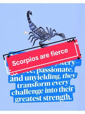 #scorpio #scorpion #escorpio #scorpions #scorpiolover #scorpio_love #scorpion🦂 #scorpios #scorpio_lover #scorpiogirl #scorpio_s11_love ##trending #trendingsounds #growontiktok #tiktokgrowth #viral #tipsandtricks scorpionchallenge #scorpios9 #_scorpio #scorpion♏ #scorpio🦂 #scorpio___ #scorpio_ #blacktiktokcommunity #scorpiovsscorpio##scorpio_squad #scorpiochapter #scorpio? #_scorpio_ #scorpiomahindra_scorpio💥