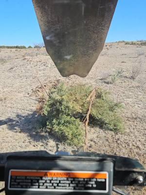 grubbing little stuff #seminoleranches #ranchlife #texas #texaspanhandle #dirtwork #playinginthedirt #skidsteer #kabota #skidloader 